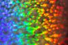 Regenboog